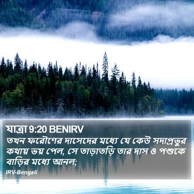 যাত্ৰা 9:20 BENIRV Bible Verse Image