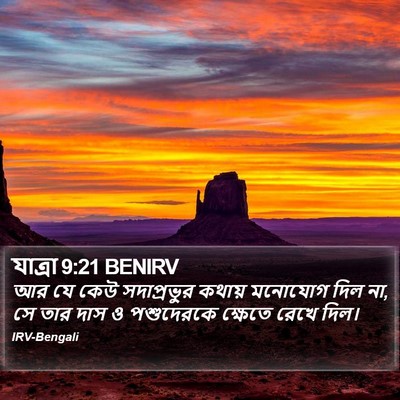 যাত্ৰা 9:21 BENIRV Bible Verse Image