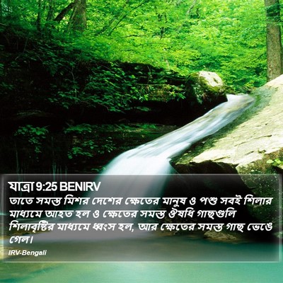 যাত্ৰা 9:25 BENIRV Bible Verse Image