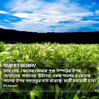 যাত্ৰা 9:3 BENIRV Bible Verse Image