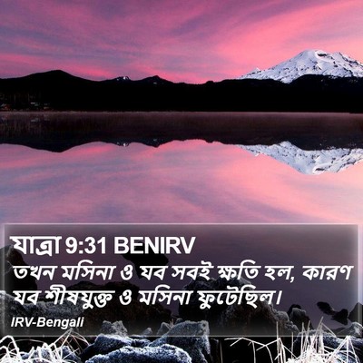 যাত্ৰা 9:31 BENIRV Bible Verse Image
