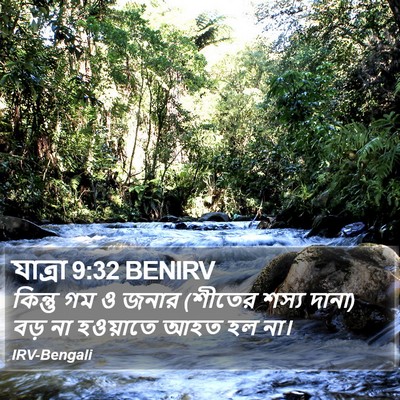 যাত্ৰা 9:32 BENIRV Bible Verse Image