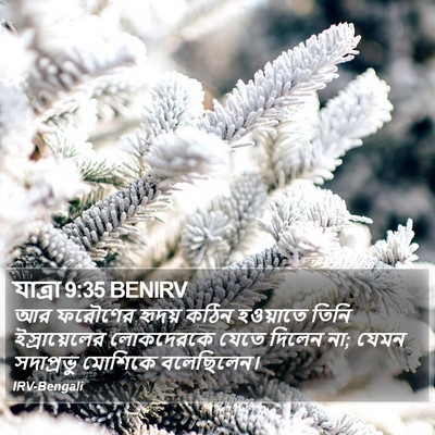 যাত্ৰা 9:35 BENIRV Bible Verse Image