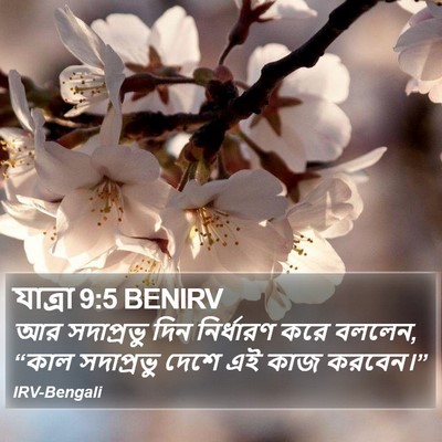 যাত্ৰা 9:5 BENIRV Bible Verse Image
