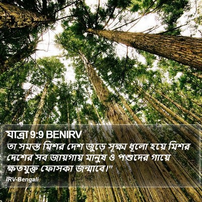 যাত্ৰা 9:9 BENIRV Bible Verse Image