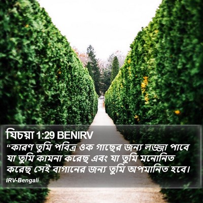 যিচয়া 1:29 BENIRV Bible Verse Image
