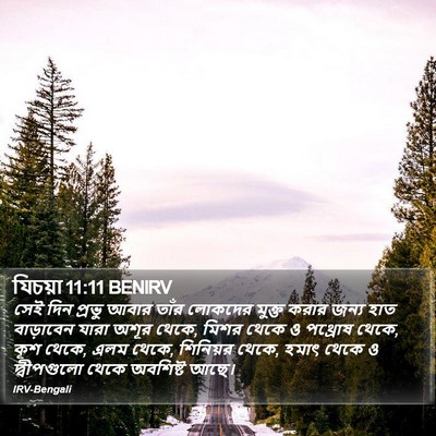 যিচয়া 11:11 BENIRV Bible Verse Image