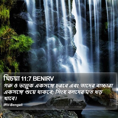 যিচয়া 11:7 BENIRV Bible Verse Image