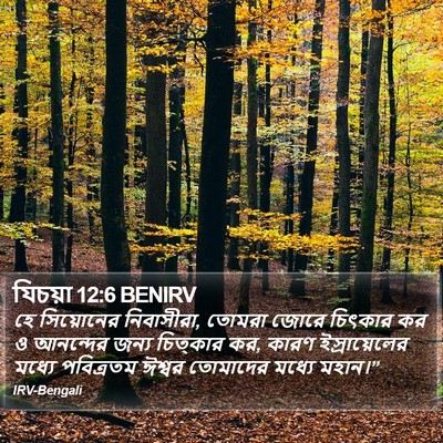 যিচয়া 12:6 BENIRV Bible Verse Image