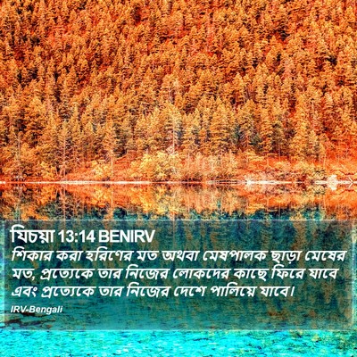 যিচয়া 13:14 BENIRV Bible Verse Image