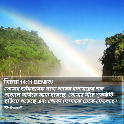 যিচয়া 14:11 BENIRV Bible Verse Image