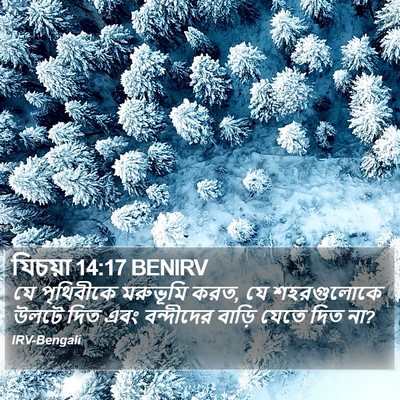 যিচয়া 14:17 BENIRV Bible Verse Image