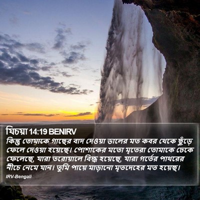 যিচয়া 14:19 BENIRV Bible Verse Image