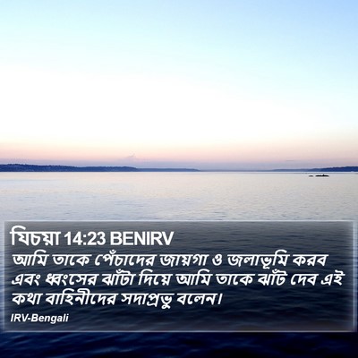 যিচয়া 14:23 BENIRV Bible Verse Image