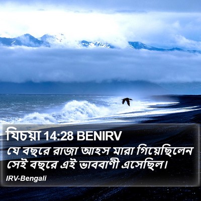 যিচয়া 14:28 BENIRV Bible Verse Image
