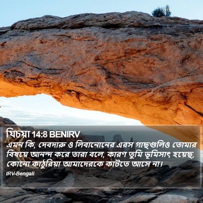 যিচয়া 14:8 BENIRV Bible Verse Image
