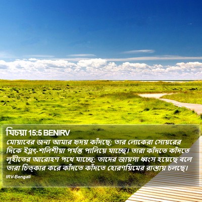 যিচয়া 15:5 BENIRV Bible Verse Image