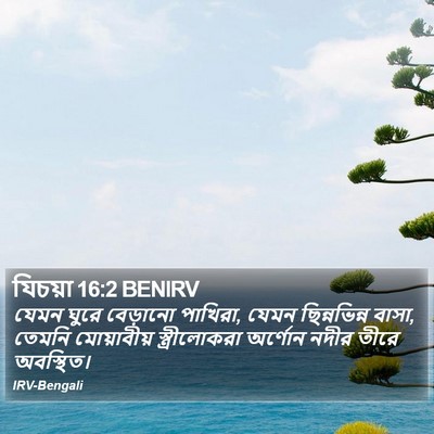 যিচয়া 16:2 BENIRV Bible Verse Image