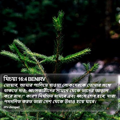 যিচয়া 16:4 BENIRV Bible Verse Image