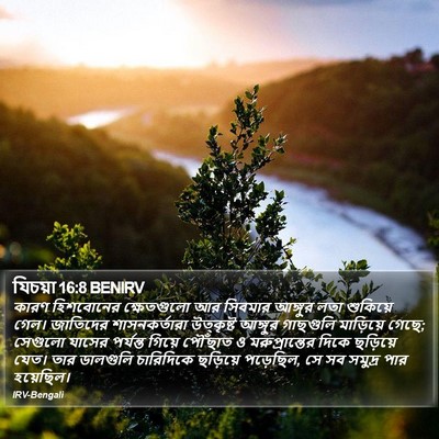 যিচয়া 16:8 BENIRV Bible Verse Image