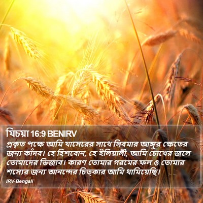 যিচয়া 16:9 BENIRV Bible Verse Image