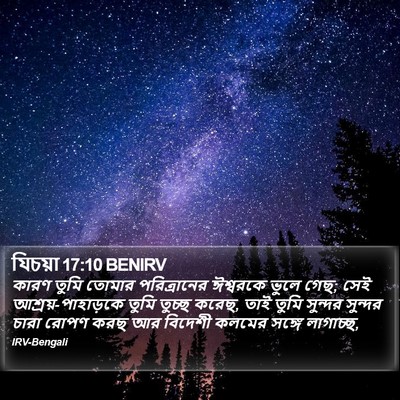 যিচয়া 17:10 BENIRV Bible Verse Image