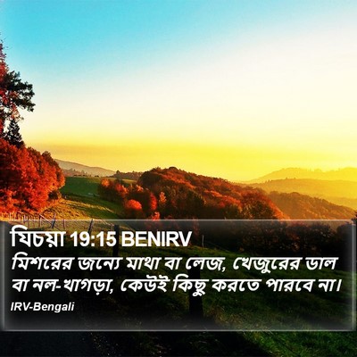 যিচয়া 19:15 BENIRV Bible Verse Image