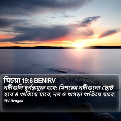 যিচয়া 19:6 BENIRV Bible Verse Image