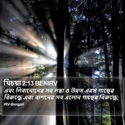 যিচয়া 2:13 BENIRV Bible Verse Image