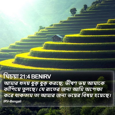 যিচয়া 21:4 BENIRV Bible Verse Image