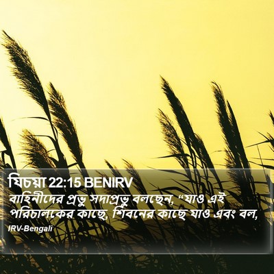 যিচয়া 22:15 BENIRV Bible Verse Image