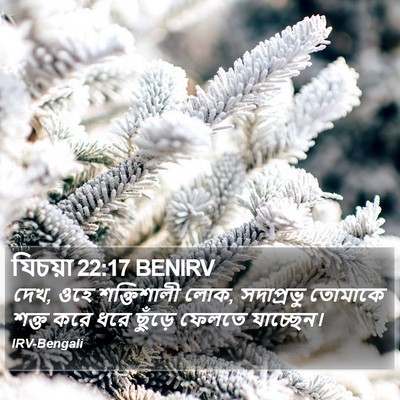 যিচয়া 22:17 BENIRV Bible Verse Image