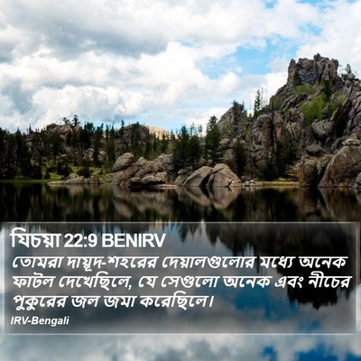 যিচয়া 22:9 BENIRV Bible Verse Image