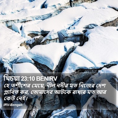 যিচয়া 23:10 BENIRV Bible Verse Image