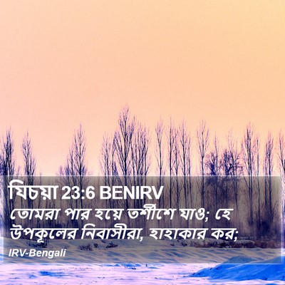 যিচয়া 23:6 BENIRV Bible Verse Image