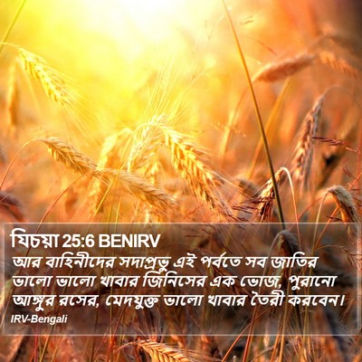 যিচয়া 25:6 BENIRV Bible Verse Image