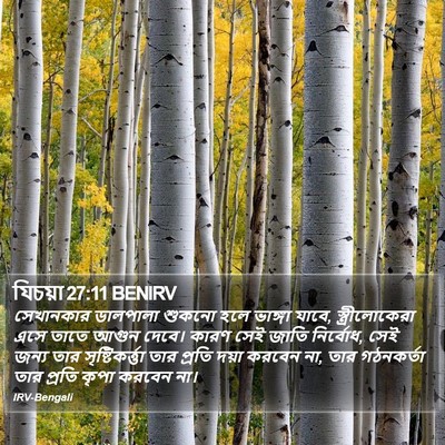 যিচয়া 27:11 BENIRV Bible Verse Image