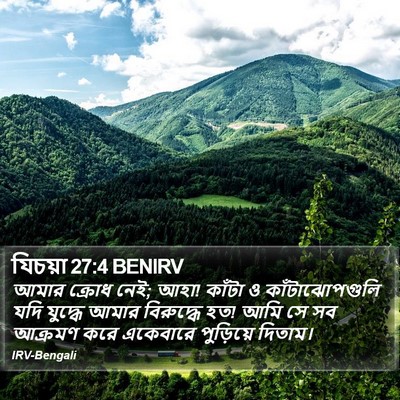 যিচয়া 27:4 BENIRV Bible Verse Image