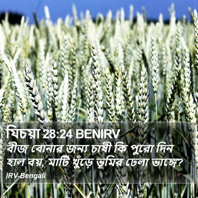 যিচয়া 28:24 BENIRV Bible Verse Image