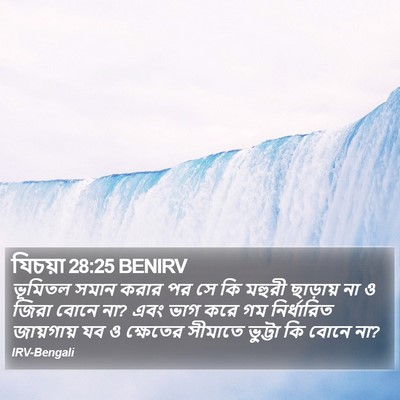 যিচয়া 28:25 BENIRV Bible Verse Image
