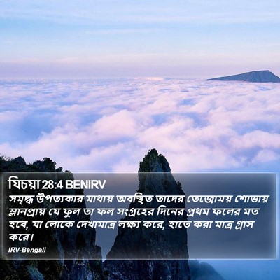 যিচয়া 28:4 BENIRV Bible Verse Image