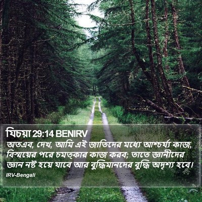 যিচয়া 29:14 BENIRV Bible Verse Image