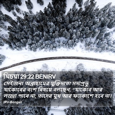 যিচয়া 29:22 BENIRV Bible Verse Image