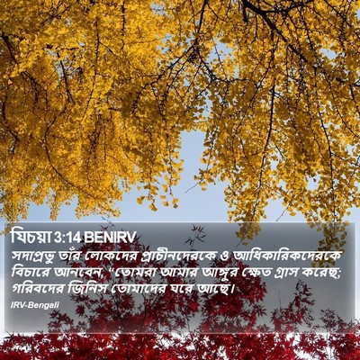 যিচয়া 3:14 BENIRV Bible Verse Image