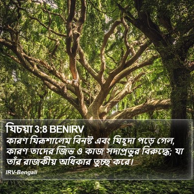 যিচয়া 3:8 BENIRV Bible Verse Image