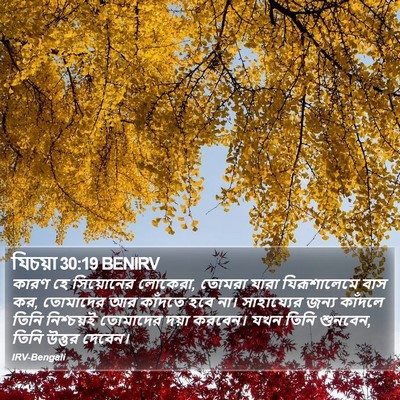 যিচয়া 30:19 BENIRV Bible Verse Image