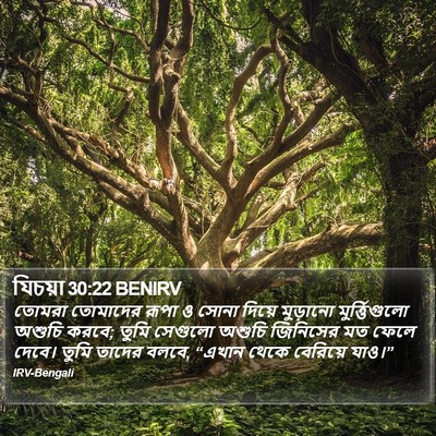 যিচয়া 30:22 BENIRV Bible Verse Image