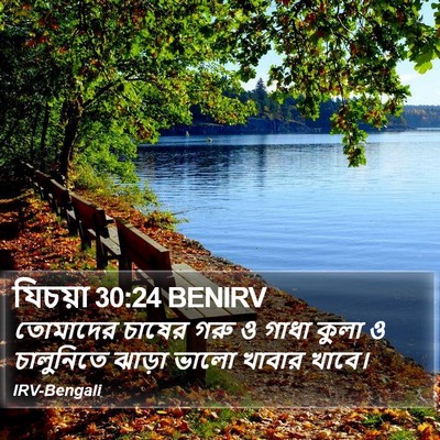 যিচয়া 30:24 BENIRV Bible Verse Image