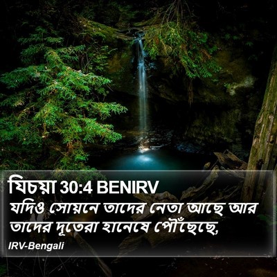 যিচয়া 30:4 BENIRV Bible Verse Image