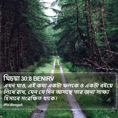 যিচয়া 30:8 BENIRV Bible Verse Image